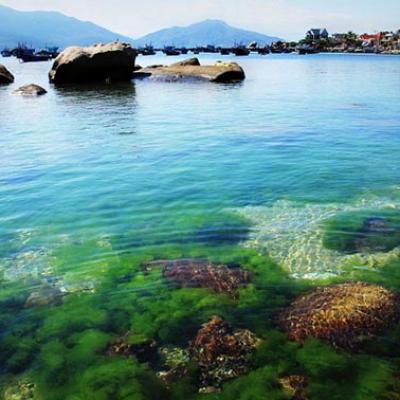 DU LỊCH ĐẢO BÌNH BA - ĐẢO TÔM HÙM BBQ HẢI SẢN 2N2Đ